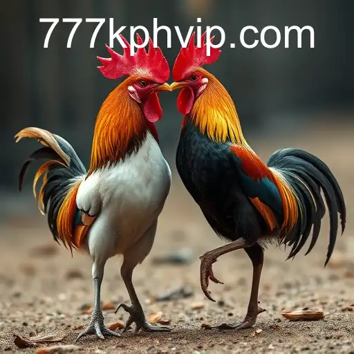 The Intriguing World of Sabong Games and the Role of 777K.PH Login